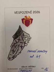 Pánské kopačky, vel. 41
