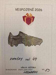 Kopačky vel. 44