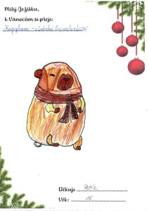 hračka plyšák Kapybara