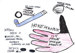 hokejku vel.150cm na levou stranu,