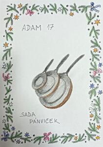 Sada pánviček