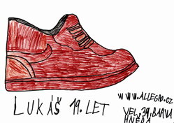 sportovní botasky NIKE, hnědé, vel. 39