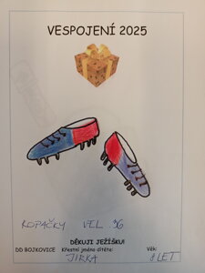 Kopačky, vel. 36