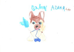 Baby Pows - pejsek německý ovčák