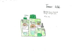   Kosmetika Garnier Fructis ( posilující sada)