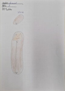 spacák