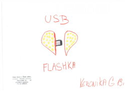 USB FLASH