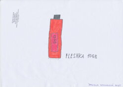 FLESH DISK