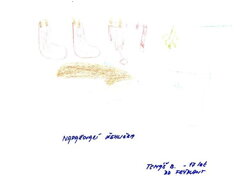 NAPAŘOVACÍ ŽEHLIČKA