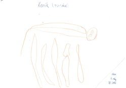 PLYŠOVÝ KONÍK