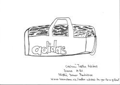 CESTOVNÍ TAŠKA