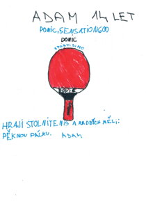 STOLNÍ TENIS