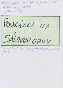 POUKÁZKA NA SÁLOVOU OBUV