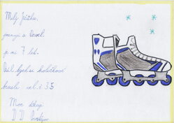 BRUSLE VEL.35