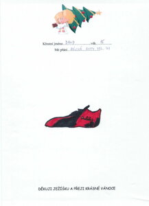 SÁLOVÉ BOTY VEL.41
