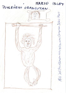 POVLEČENÍ S ORANGUTANEM