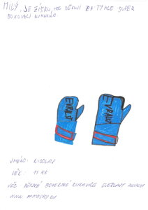 Dětské boxovací rukavice everlast prospect