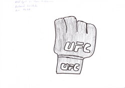 RUKAVICE MMA