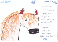 PLYŠOVÝ KŮŇ