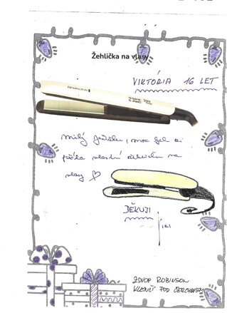 ŽEHLIČKA NA VLASY