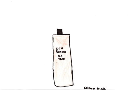 Šampon