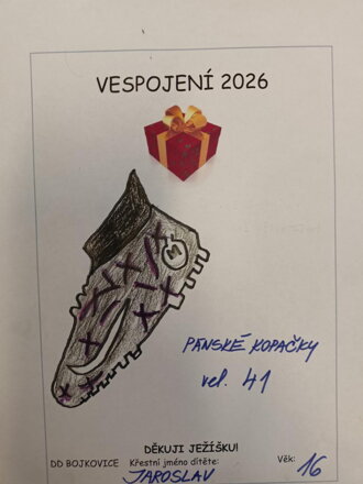 Pánské kopačky, vel. 41