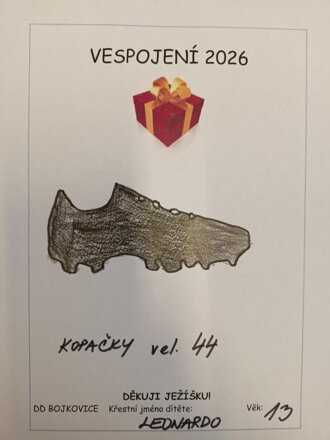 Kopačky vel. 44