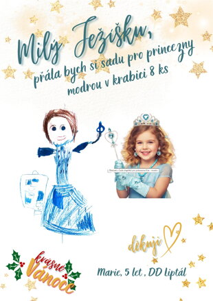  sadu pro princeznu, modrá v krabici 8 ks