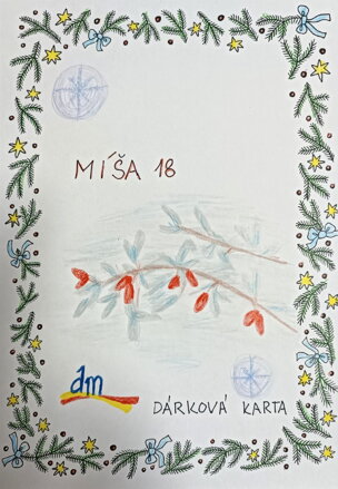 Dárková karta DM