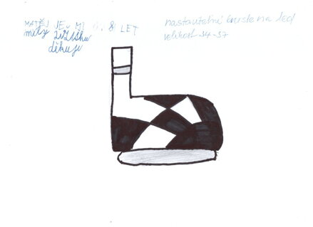 Nastavitelné brusle na led vel. 34 – 37