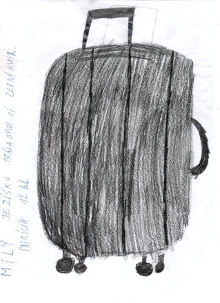 Černý cestovní kufr