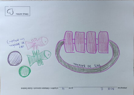 vybavení do bazénu