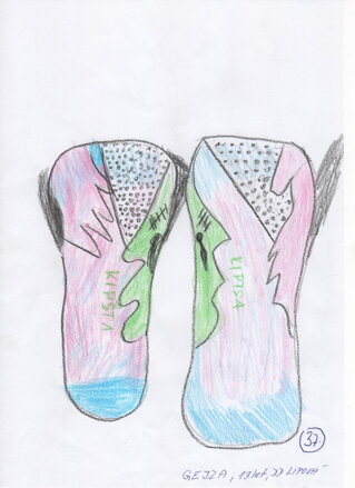 fotbalové chrániče