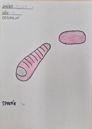 spacák růžový