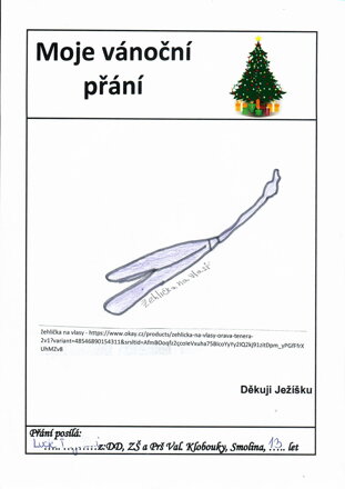 Žehlička na vlasy
