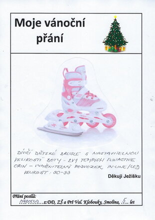 Dívčí nastavitelné brusle