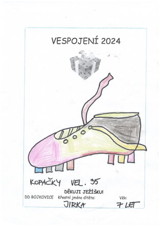 Kopačky, vel. 35