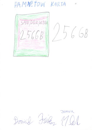 paměťová karta 256 GB
