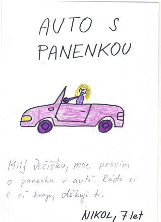 AUTO PRO PANENKU