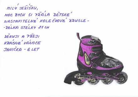 BRUSLE