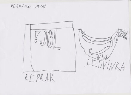 Ledvinka nebo reproduktor