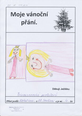 PRINCEZNOVSKÉ POVLEČENÍ