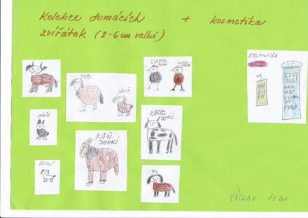 DOMÁCÍ ZVÍŘÁTKA
