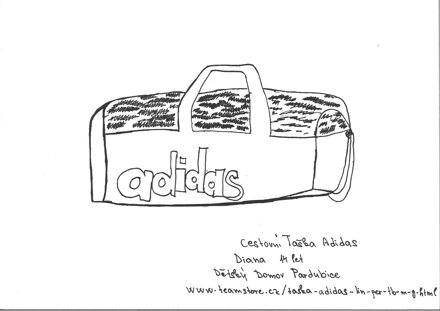 CESTOVNÍ TAŠKA