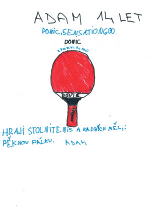 STOLNÍ TENIS