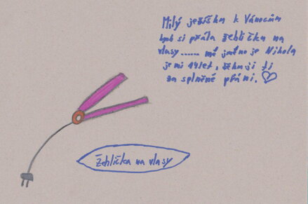 ŽEHLIČKA NA VLASY