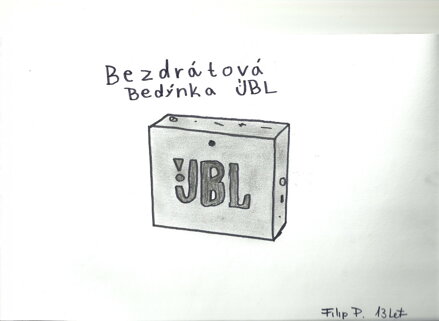 BEZDRÁTOVÁ BEDÝNKA