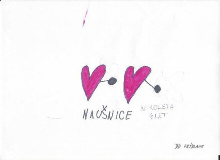 NÁUŠNICE