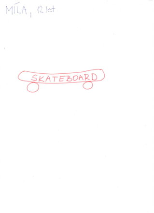 SKATEBOARD