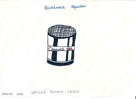 BLUETOOTH SPEAKER